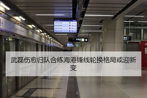 武磊伤愈归队合练海港锋线轮换格局或迎新变